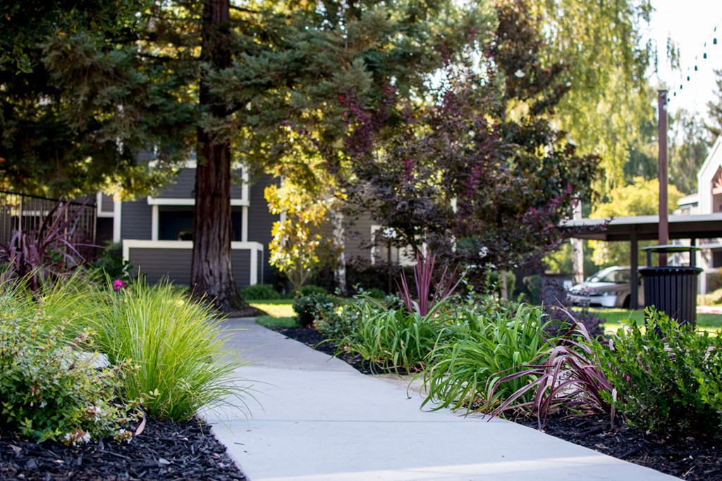Apartments for Rent in Sacramento - Waterford Cove - Walkway to Apartments with Greenery and Walkway