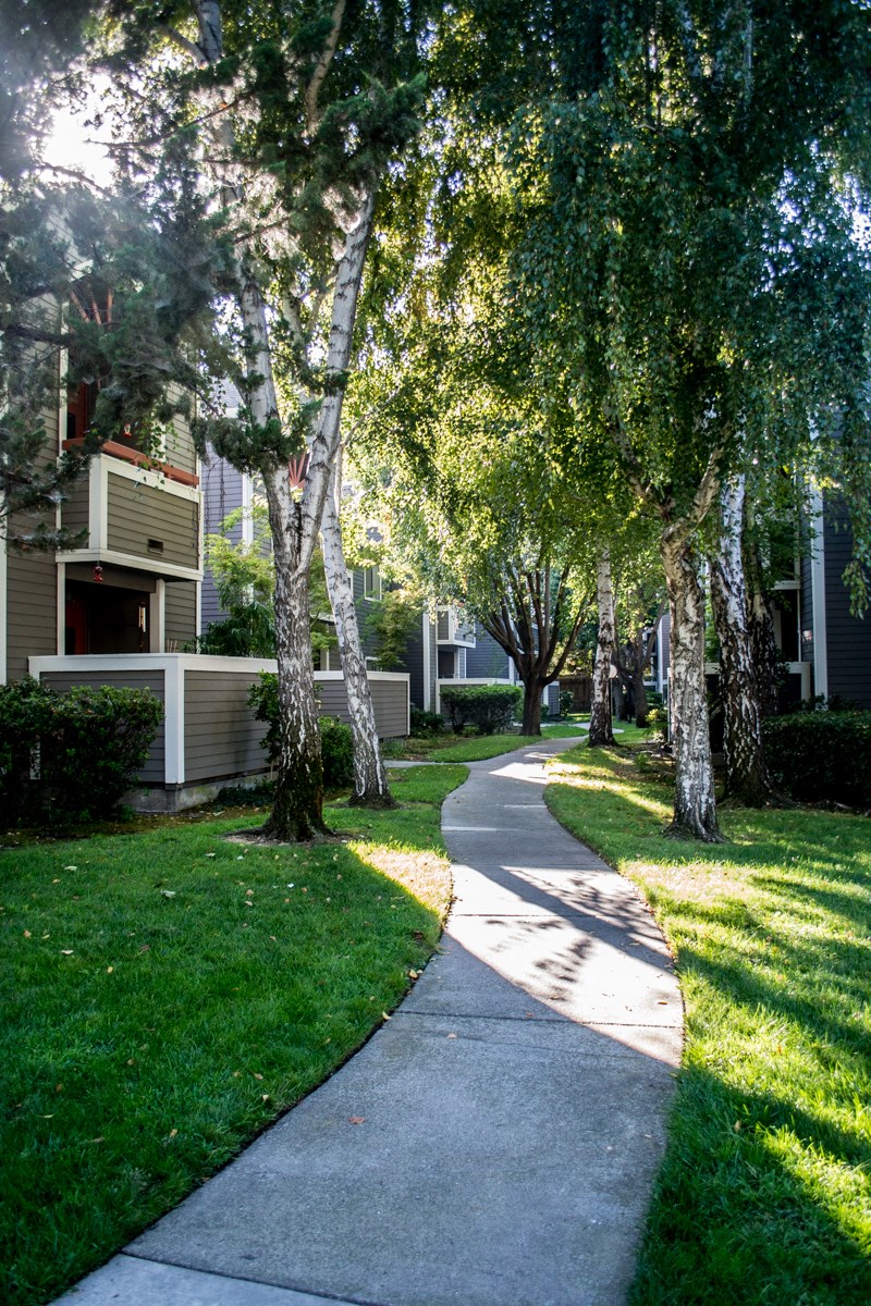 Apartments for Rent in Sacramento - Waterford Cove - Walkway Through Apartment Buildings, Surrounded by Lush Landscaping
