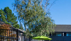 The Meridian Apartments 141 Flora Ave Walnut Creek Ca Rentcafe