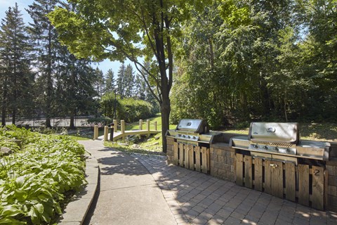 a path through a park with barbecue grills and trees