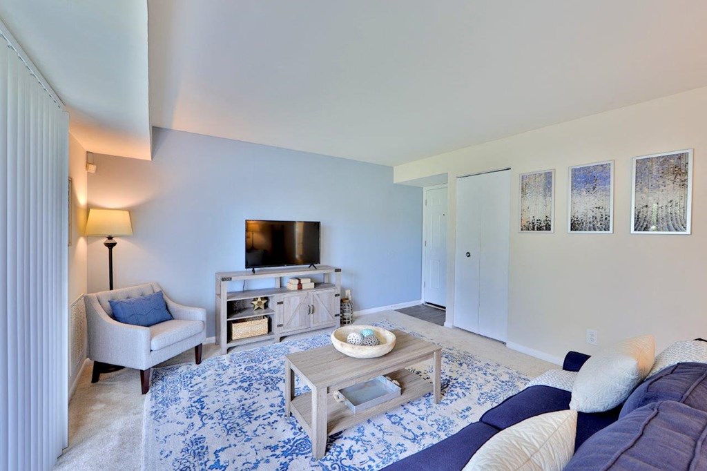 a living room with a couch and a television