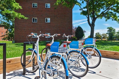 a row of blue bikes parked on a bike rack