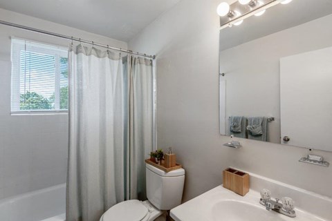 a bathroom with a sink toilet and a shower