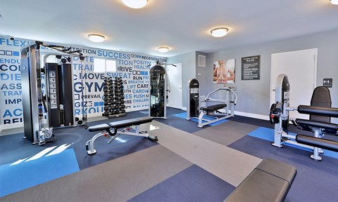 a fitness room with weights and exercise equipment at the enclave at university crossings apartments