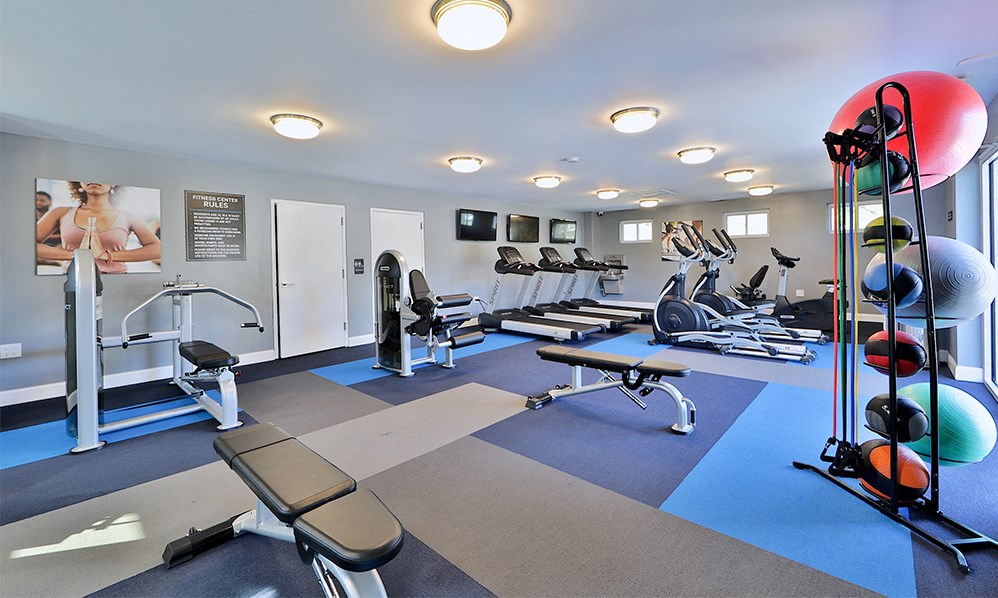 a gym with cardio equipment and weights on a blue rug