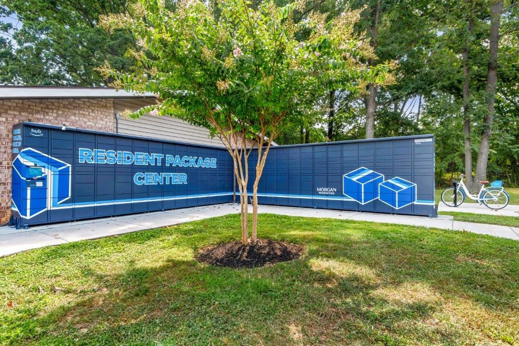a blue wall with a tree and a bike parked next to it