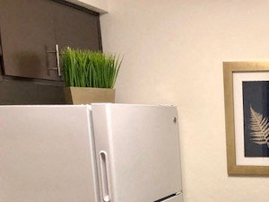 3330 W. Greenway Road Studio-2 Beds Apartment for Rent - Photo Gallery 6