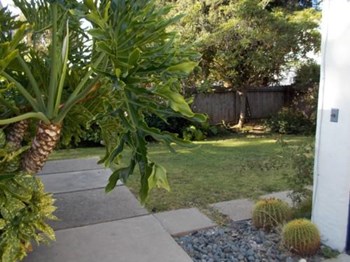 407 N. Citrus 3 Beds Apartment for Rent - Photo Gallery 3