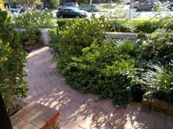 407 N. Citrus 3 Beds Apartment for Rent - Photo Gallery 6