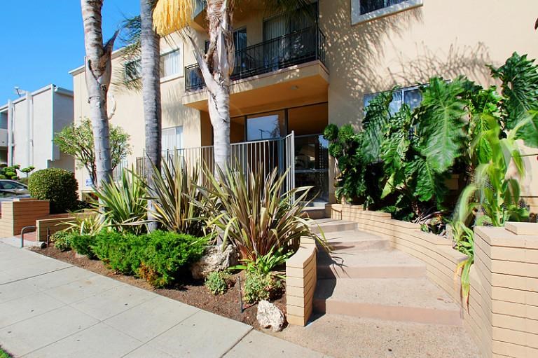 a house with trees and plants in front of it