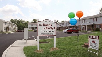 Evelyn Street 2-3 Beds Townhouse for Rent - Photo Gallery 4