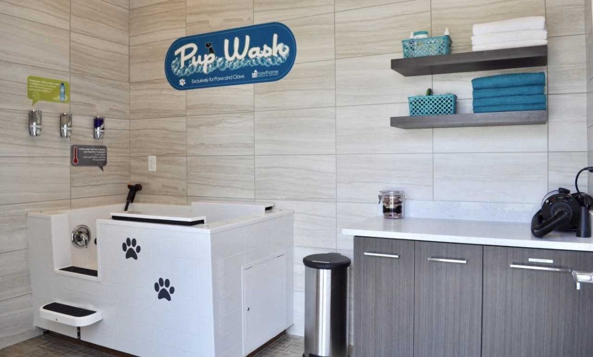 a small kitchen with a dog wash and a counter