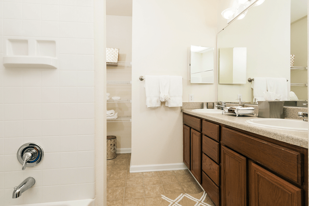 a bathroom with a shower and a sink and a mirror