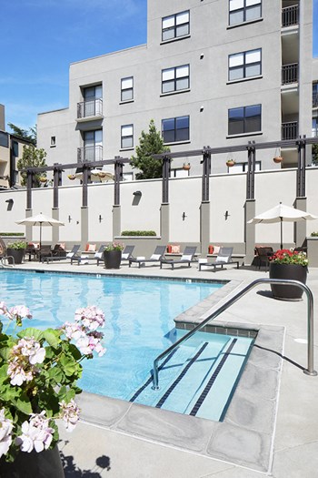 Pool with lounge chairs 1801 L Apartments - Photo Gallery 8