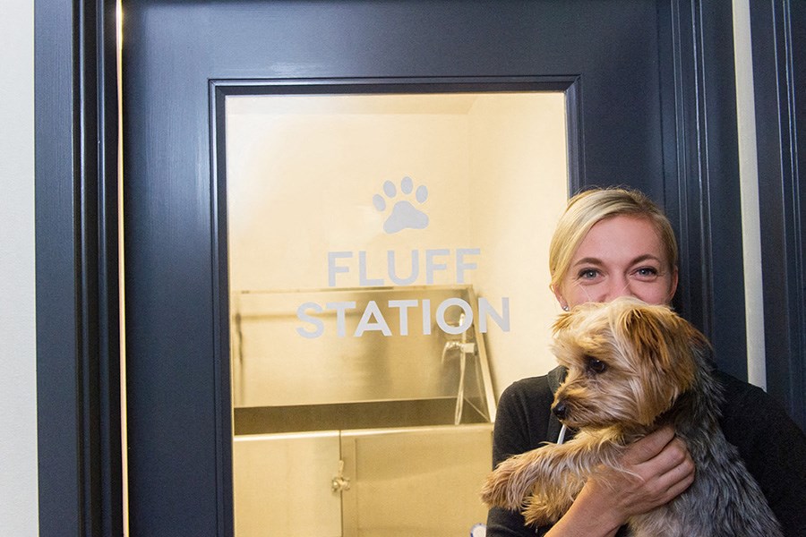 Pet Fluff Station 1801 L Apartments