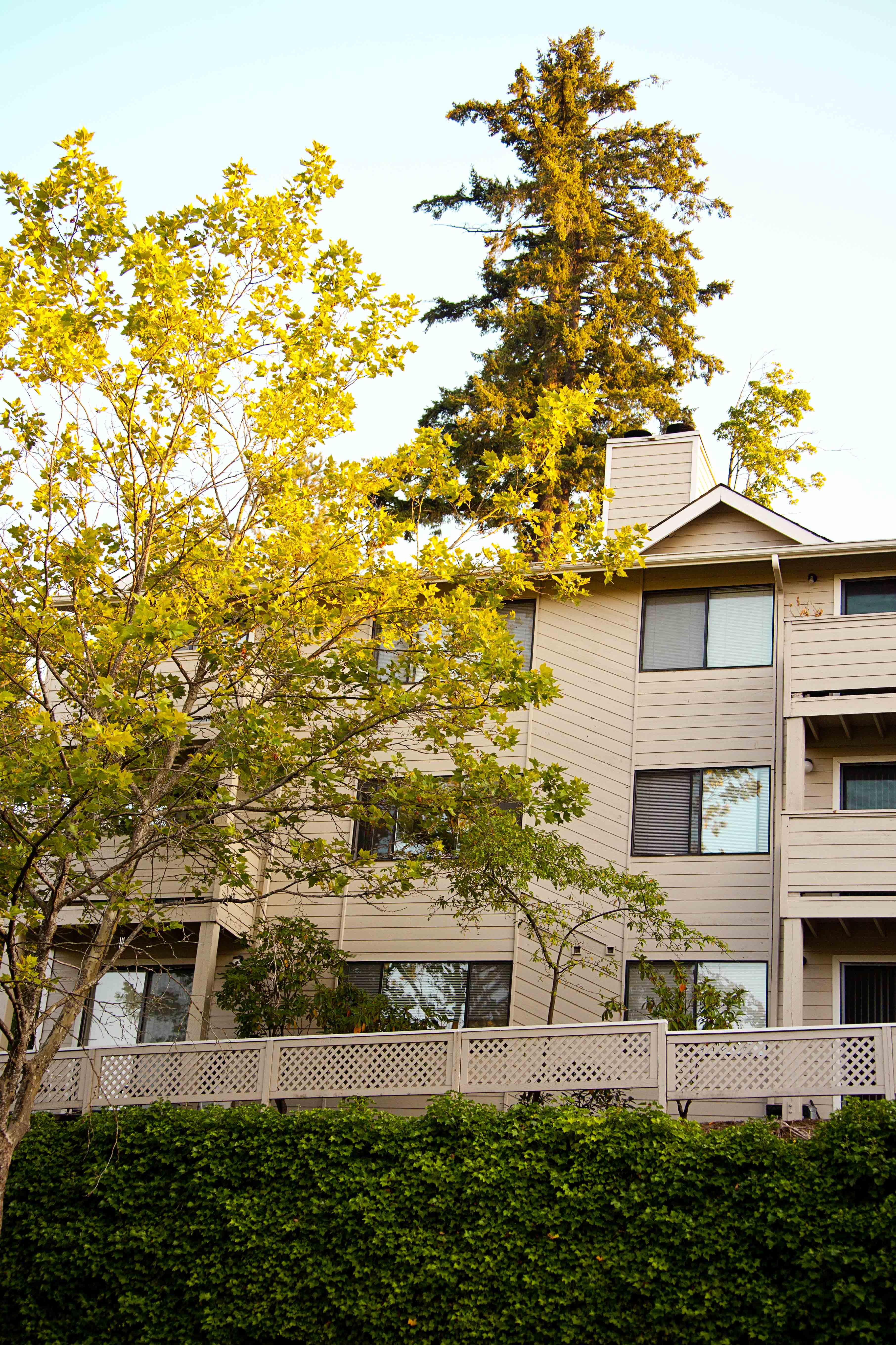 Cedar Heights Apartments in Kirkland, WA
