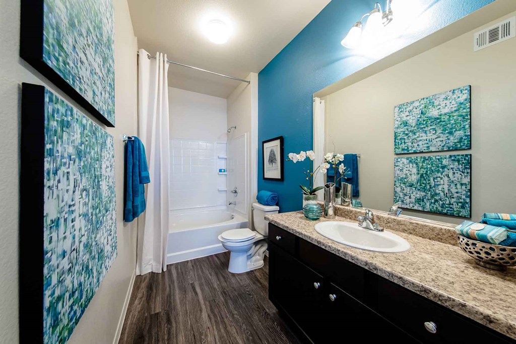 Master Bath at CHANDLER APARTMENT HOMES, Las Vegas, NV
