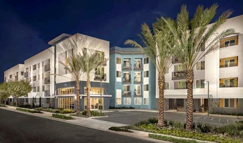 A modern building with a palm tree in front.