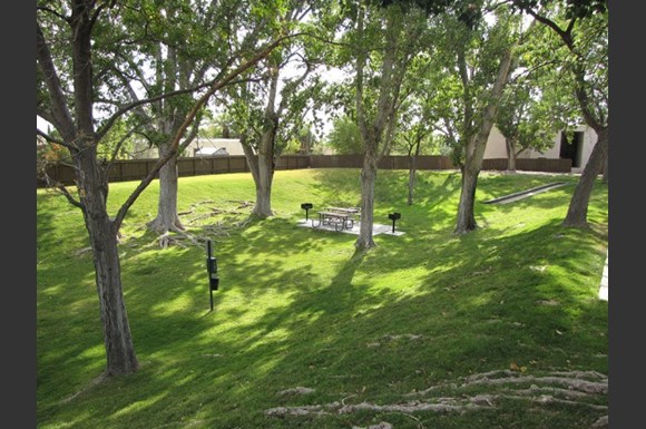 Cibola Village Apartments 12400 Montgomery Blvd Ne Albuquerque Nm Rentcafe