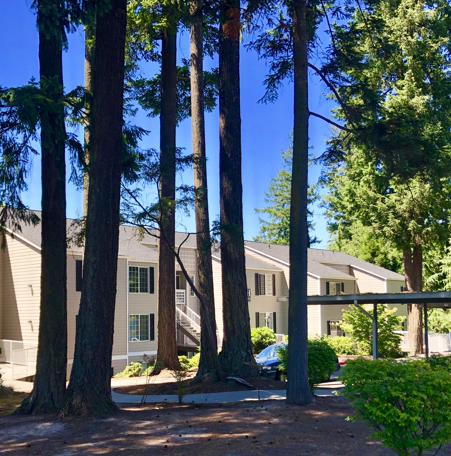 Creekside At Tanasbourne Apartments in Hillsboro, OR