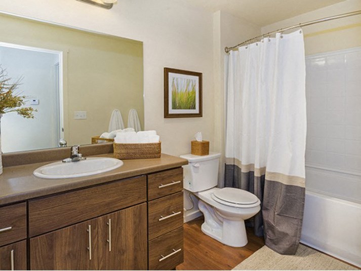 Bathroom Parker CO Apartment Rentals at Copper Steepe 