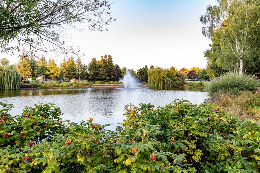 Murrayhill Pond Murrayhill Pond at Overlook at Murrayhill, Beaverton Oregon - Photo Gallery