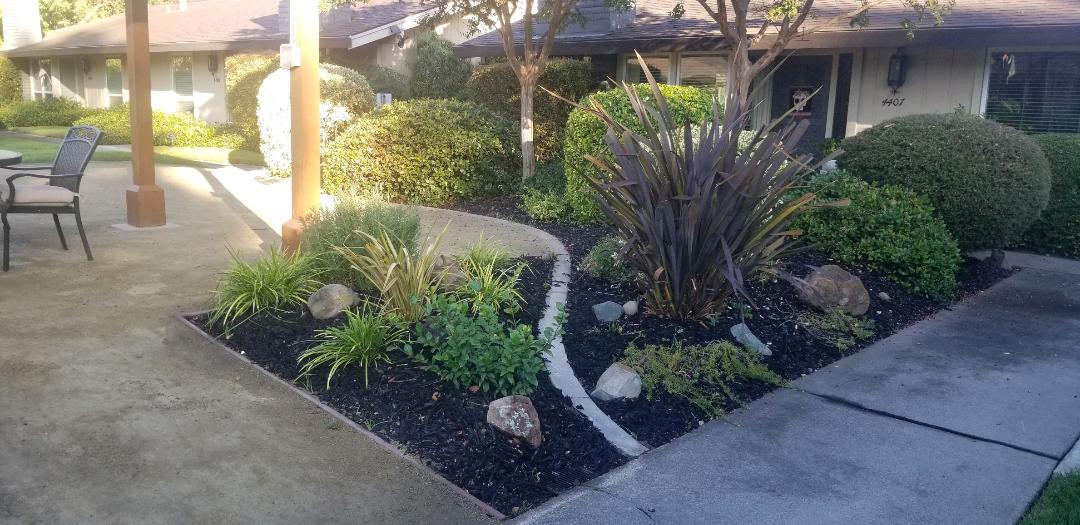 ESPANA EAST | Apartments | Pergola with flowers