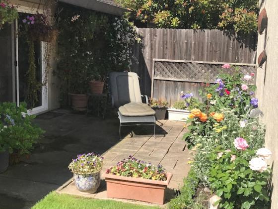 ESPANA EAST | Apartments | Yard