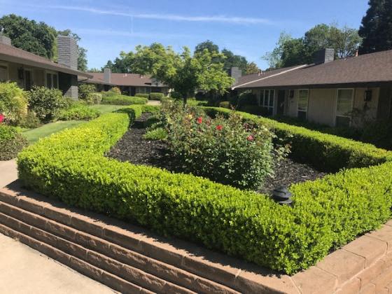 ESPANA EAST | Apartments | Landscape