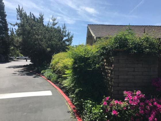 ESPANA EAST | Apartments | Landscape