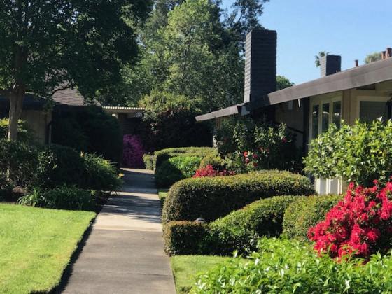 ESPANA EAST | Apartments | Landscape