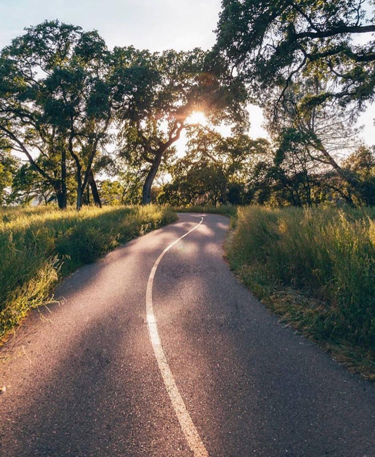 Hub Apartments | Folsom CA |Bike Trail