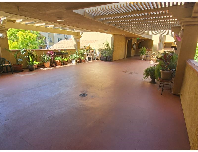Courtyard with plants