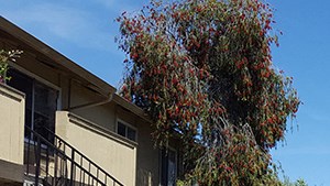 Exterior buildings with view of landscape