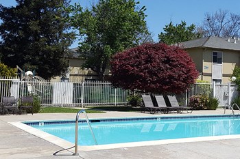 Pool with lounge chairs