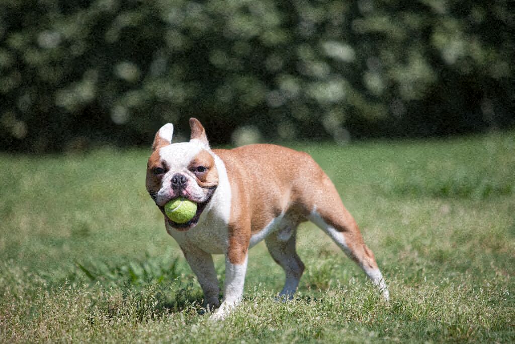 Highland Walk Apartments