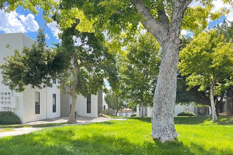 Exterior building view with grass and trees