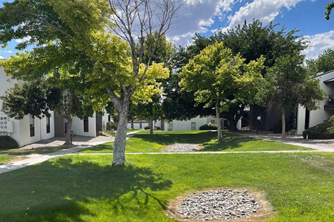 Exterior building view with grass and trees
