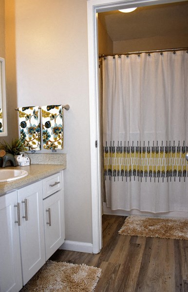 Bathroom | Parc Station Apartments in Santa Rosa, CA