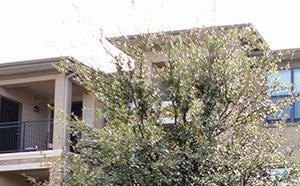 Pecan Point Temple TX l Building Apt Building View Temple, Texas Apartments l Pecan Pointe Apartment Homes - Photo Gallery 4