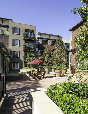 A sunny day at a courtyard with a red umbrella and potted plants.