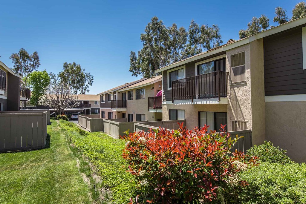 Serrano Highlands Apartments | Apartments in Lake Forest | Flowers