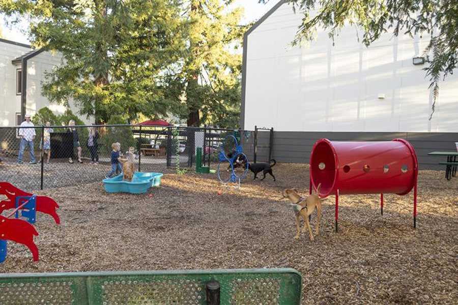 Santa Rosa photogallery 21