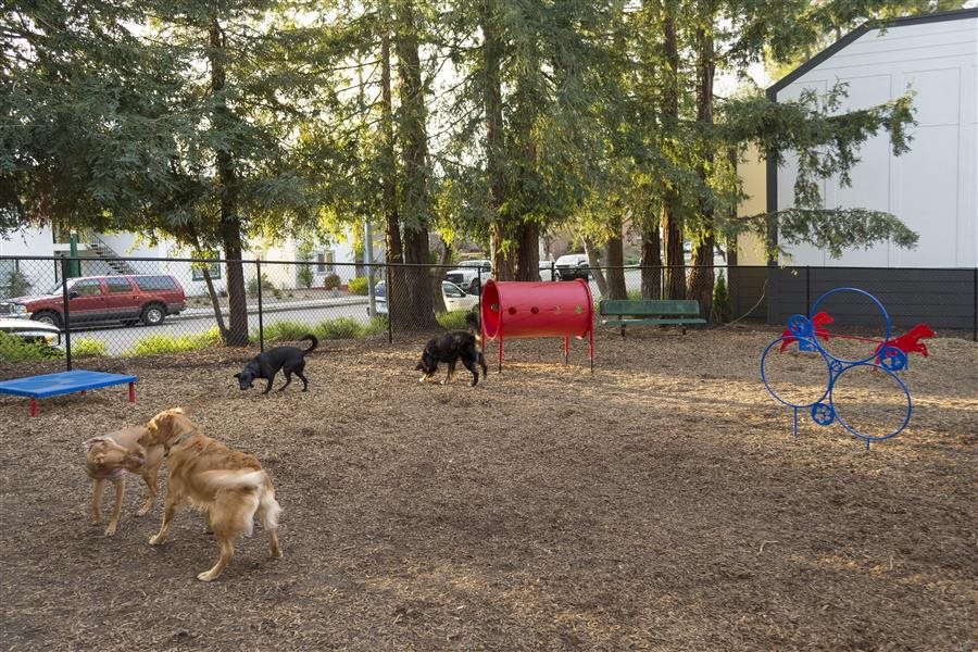 Santa Rosa photogallery 22