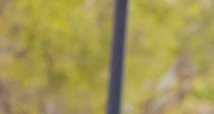 Apartments In Puyallup For Rent South Hill At Vintage