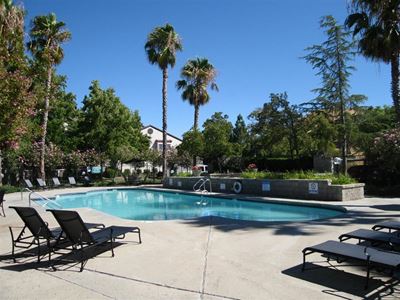 Pool with lounge chairs and palm trees Antioch CA Apts For Rent at Twin Creeks