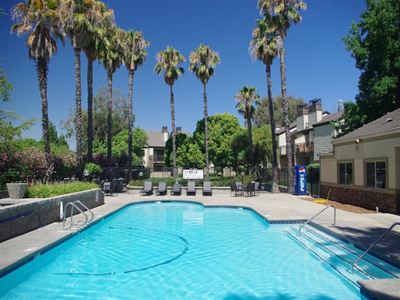 Pool with lounge chairs and palm trees Antioch CA Apts For Rent at Twin Creeks