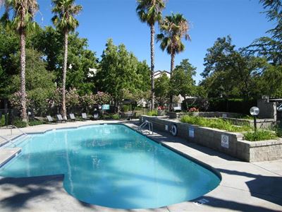 Pool with lounge chairs and palm trees Apartments for rent in Antioch, CA Twin Creeks