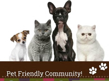 Baywoods Apartments | Pets Welcome - Photo Gallery 4