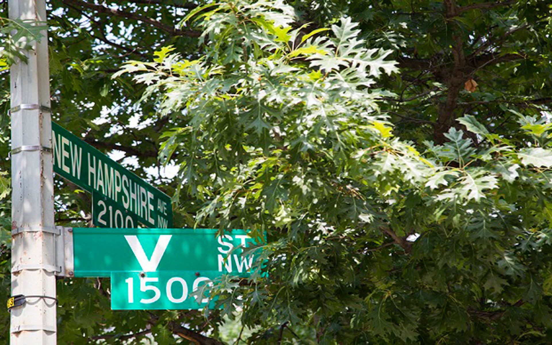Hampton Courts Apartments in Washington DC